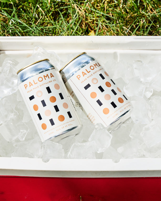 Mean Mule Paloma