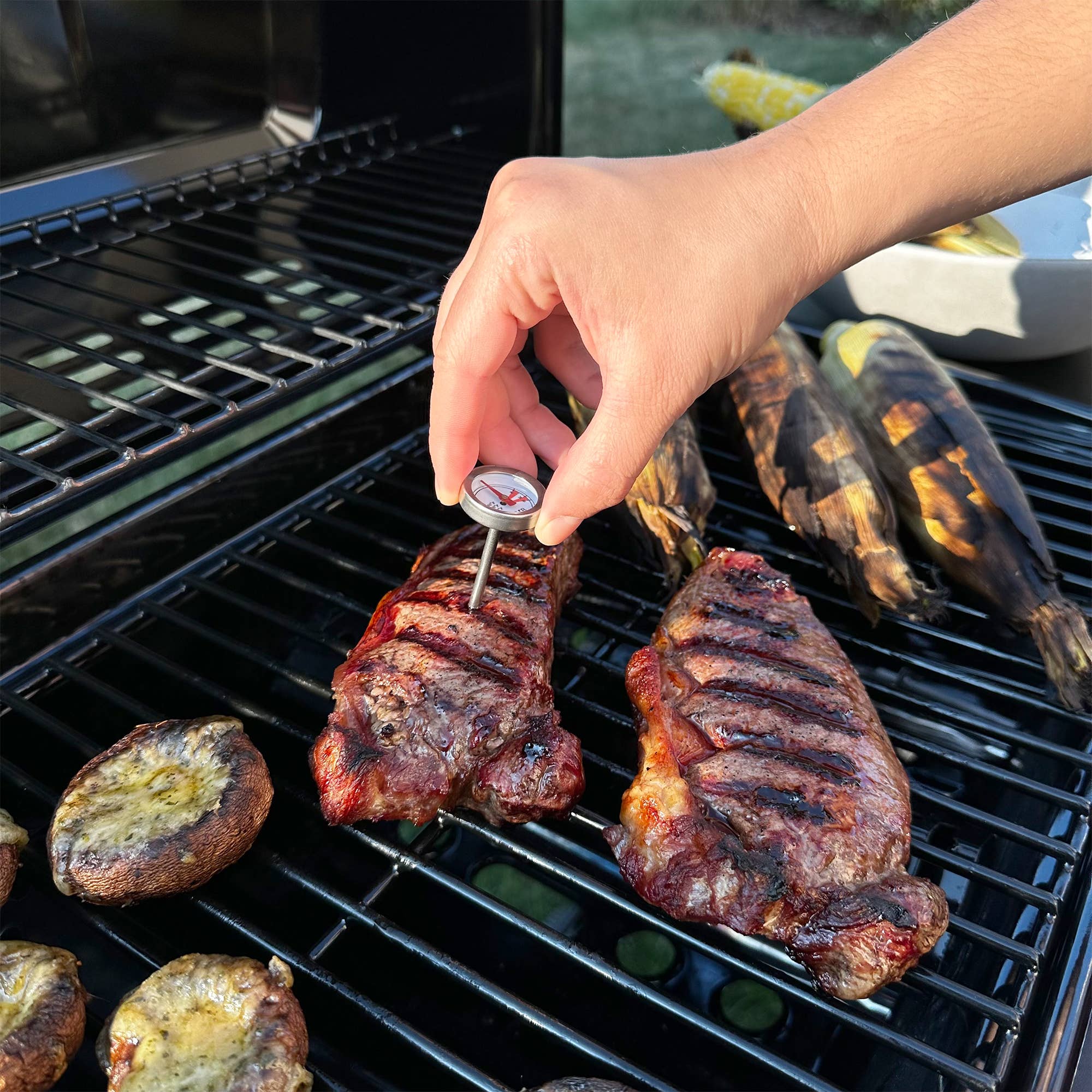 Mini Beef Thermometer