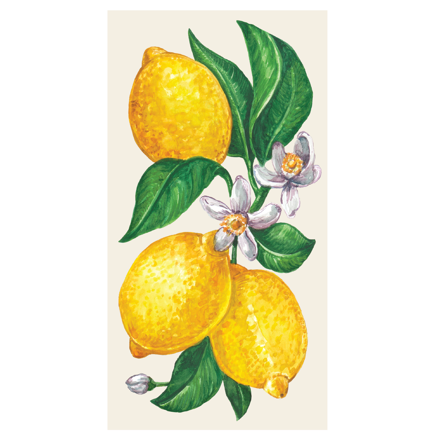 Hester & Cook Lemons Guest Napkin