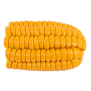 Vegetable Brush