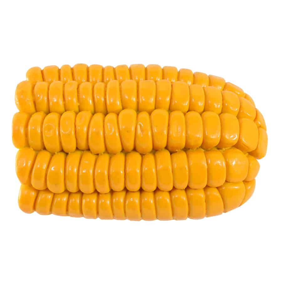 Vegetable Brush