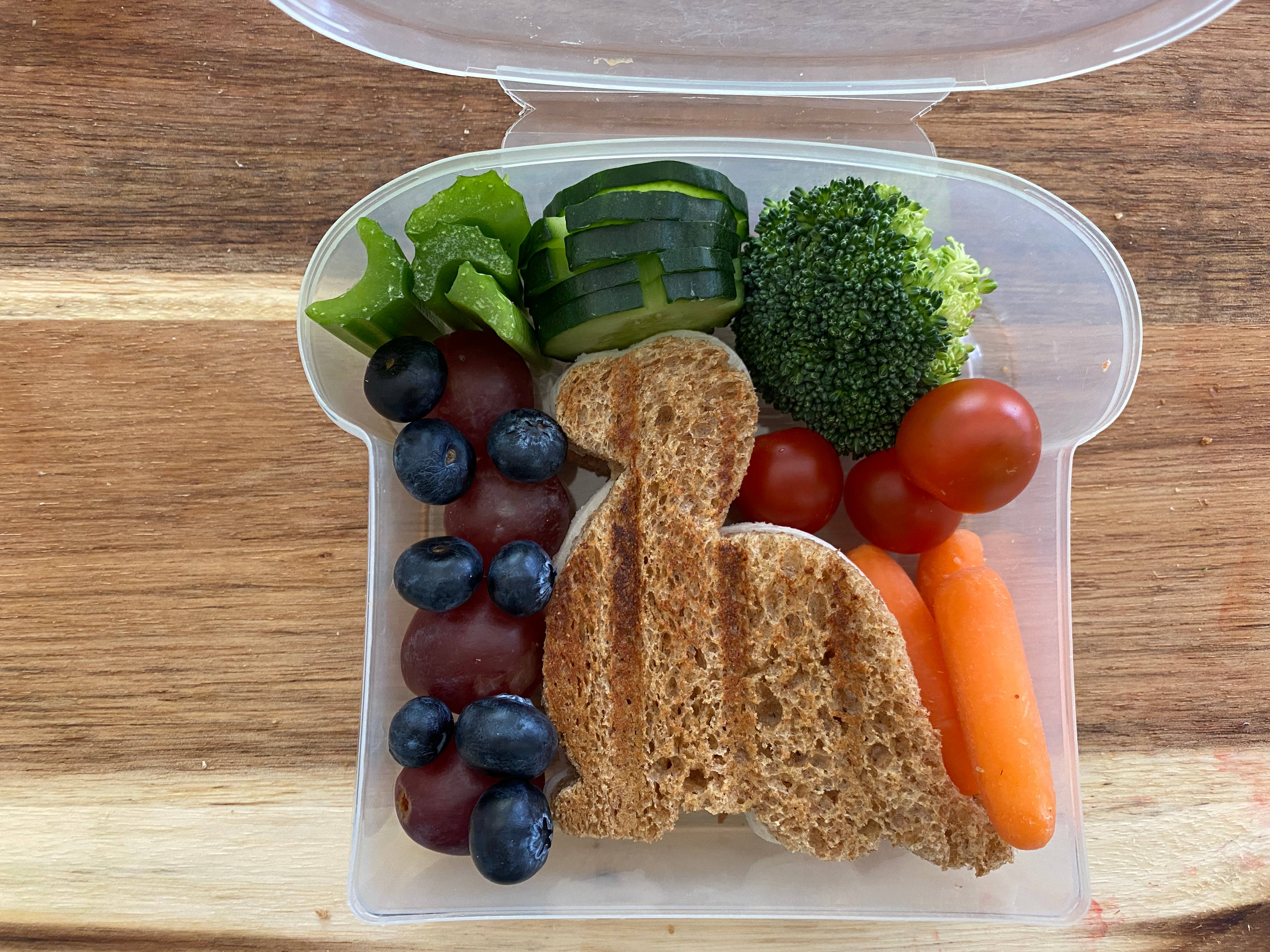 Dinosaur Sandwich Cutter Lunch Set