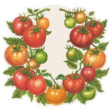 Tomato Placemat