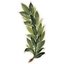 Table Accent Laurel
