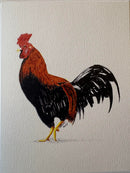 Jerry Ratway Preservation Through Art Cards