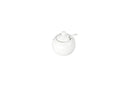 White Creamer or Sugar Bowl